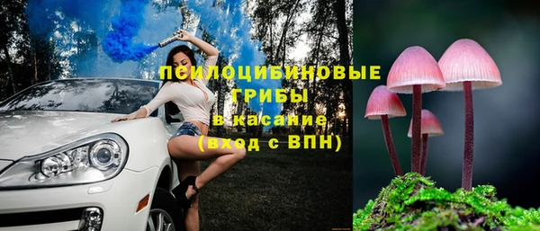 мяу мяу мука Алексеевка